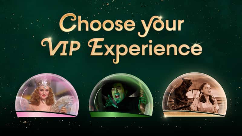 VIP Experiences
